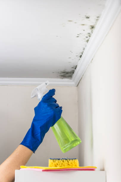 HVAC Mold Remediation